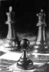 chess.jpg (490932 bytes)